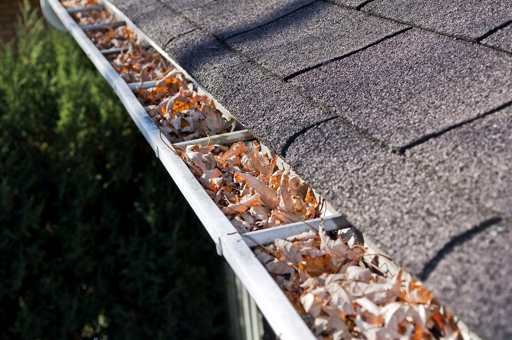 Gutter cleaning in Toronto