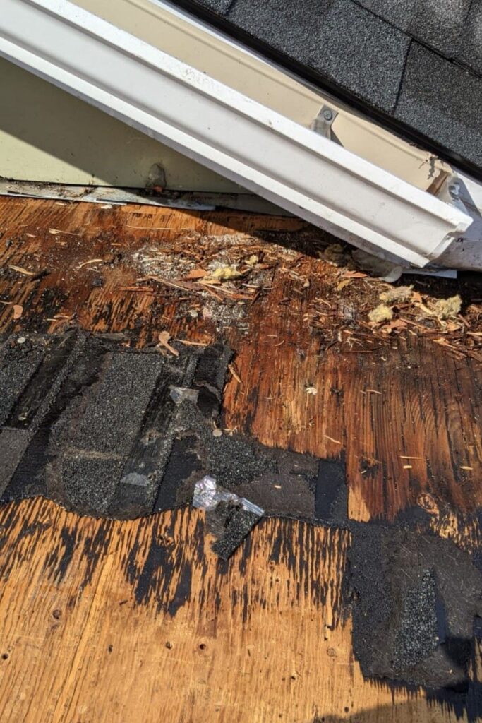 Residential & Commercial Roof Repair Services in Mississauga from $199 onwards!