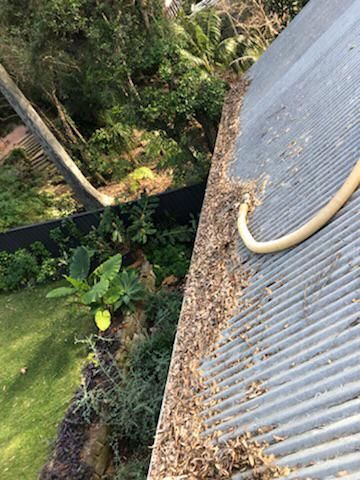Gutter Cleaning Sydney