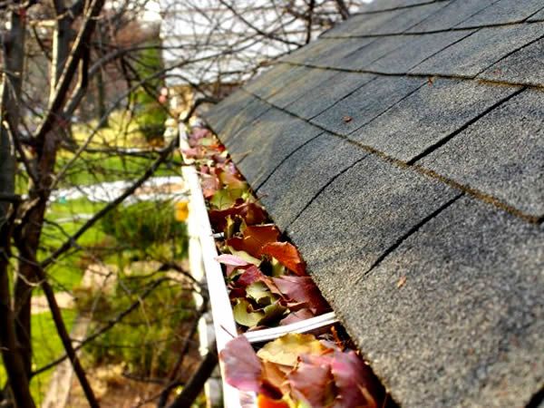 Gutter Cleaning & Repair Services in Dallas TX