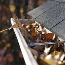 Rain Gutter Cleaning & Maintenance