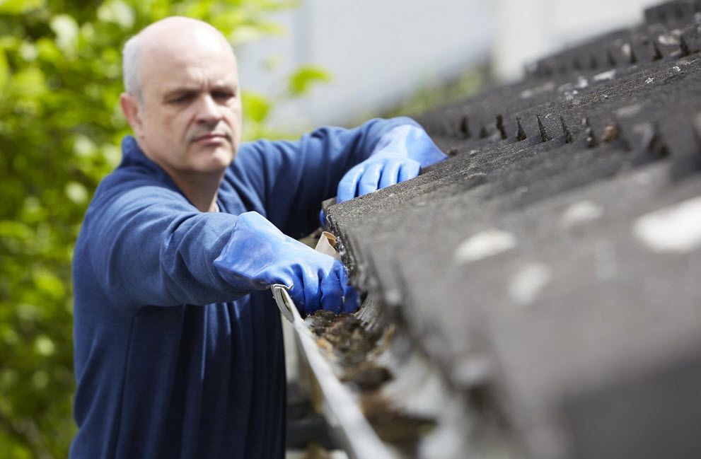 Gutter Cleaning