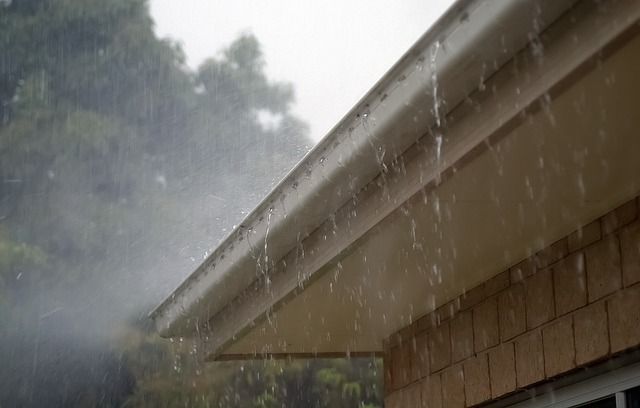 Gutter Cleaning Sydney
