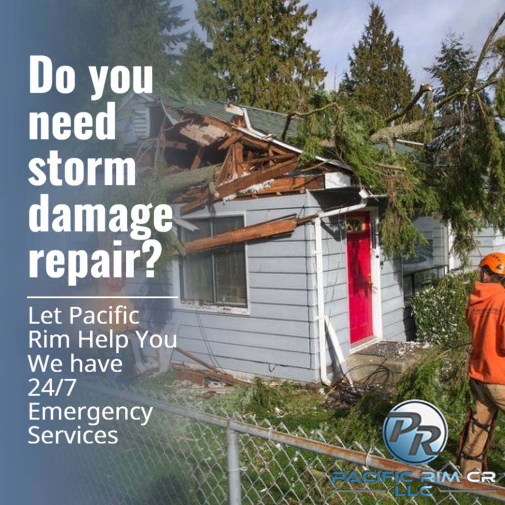 Seattle Water Damage Restoration Company: Residential, Commercial