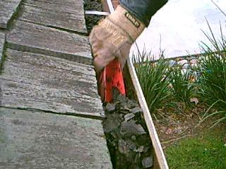 Gutter Cleaning & Repair Services in Dallas TX