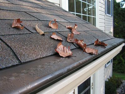 Gutter Cleaning & Repair Services in TX