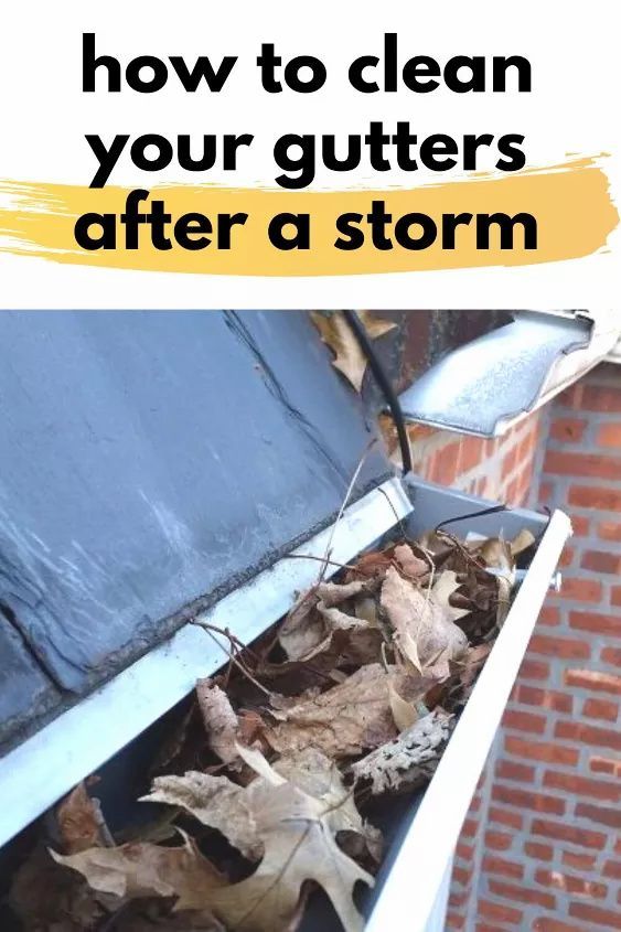 Easy Gutter Cleaning Hacks and Tips for Beginners