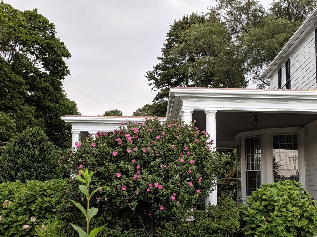 Fiberglass Gutter Installation