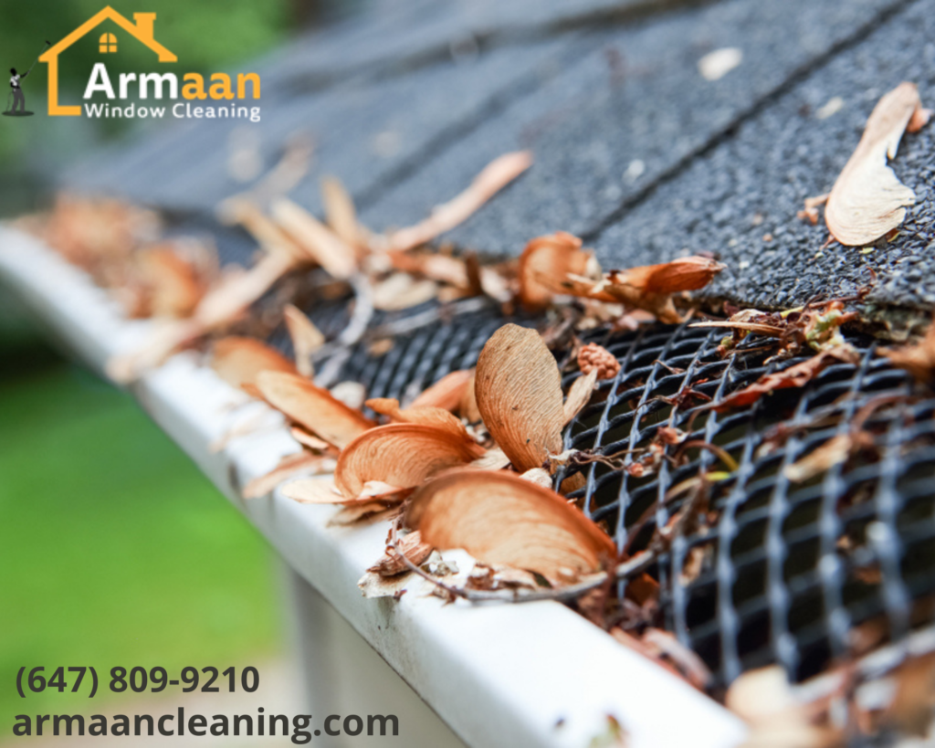 Get The Reliable Gutter Cleaning Services In Toronto