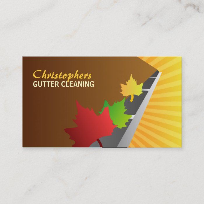 Gutter Cleaning Business Cards