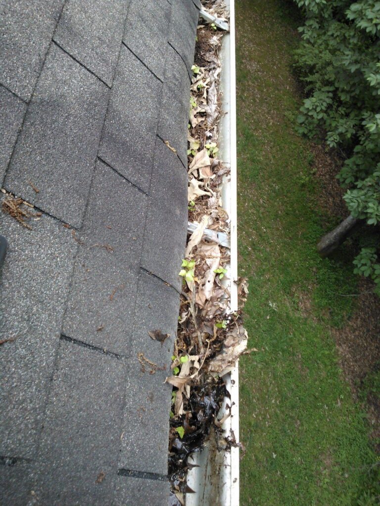 Gutter Cleaning Services