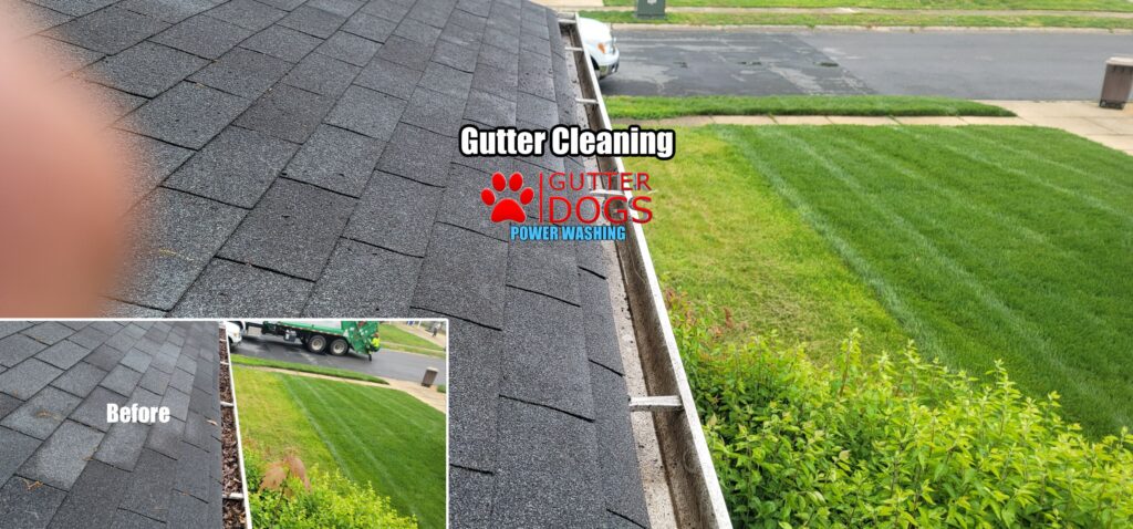 Gutter Cleaning Waldorf Maryland