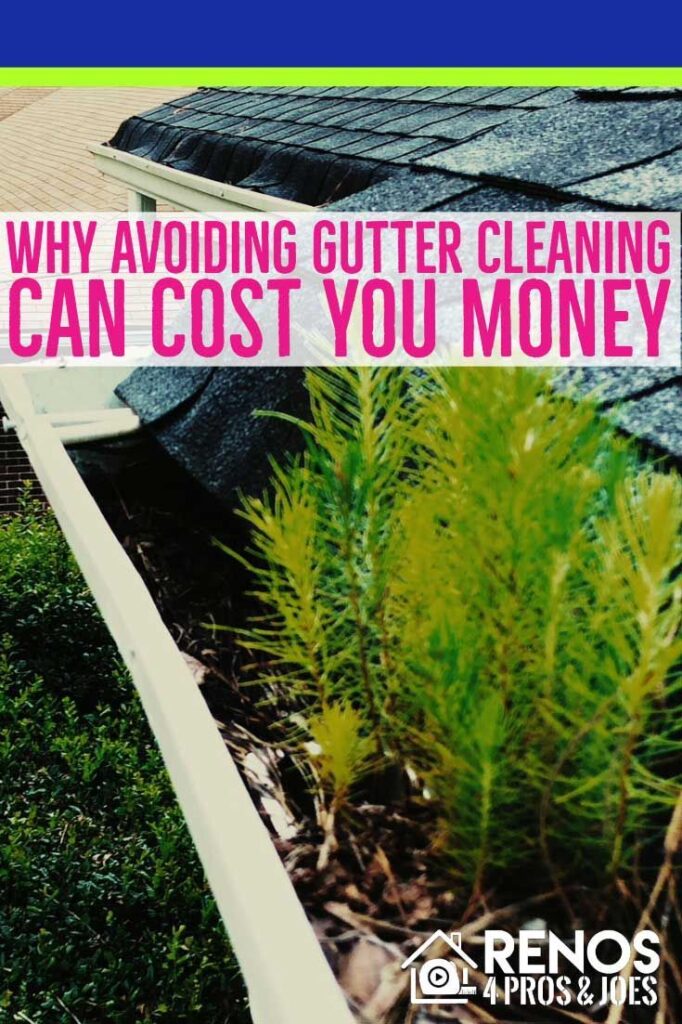 Gutter Cleaning: Why Its so Important - Renos 4 Pros & Joes