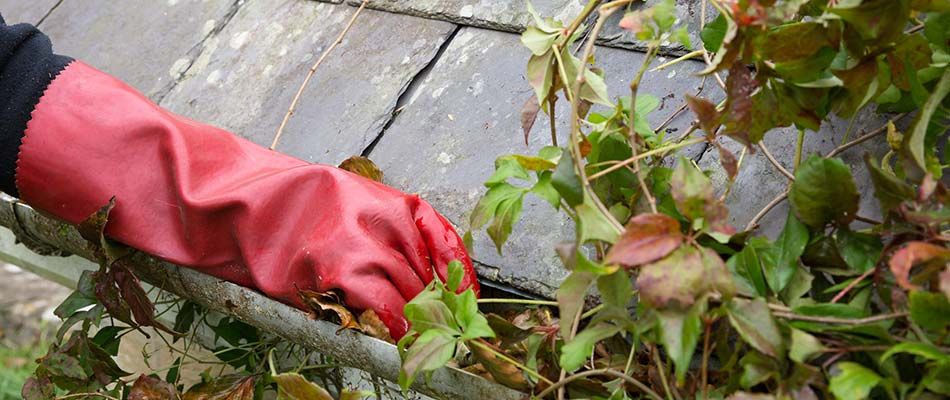 Gutter Cleaning in Noblesville Area