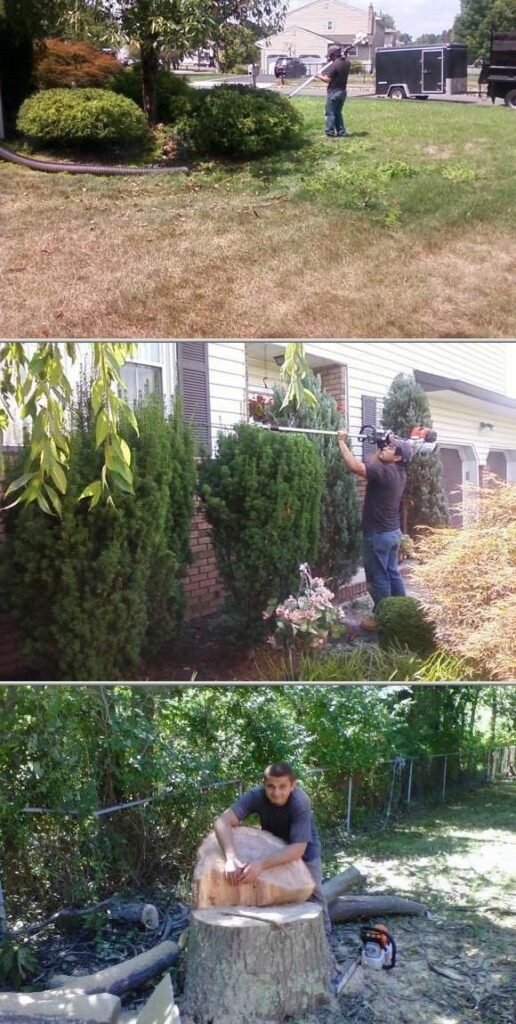 New World Tree and Landscape Service - Caldwell, NJ