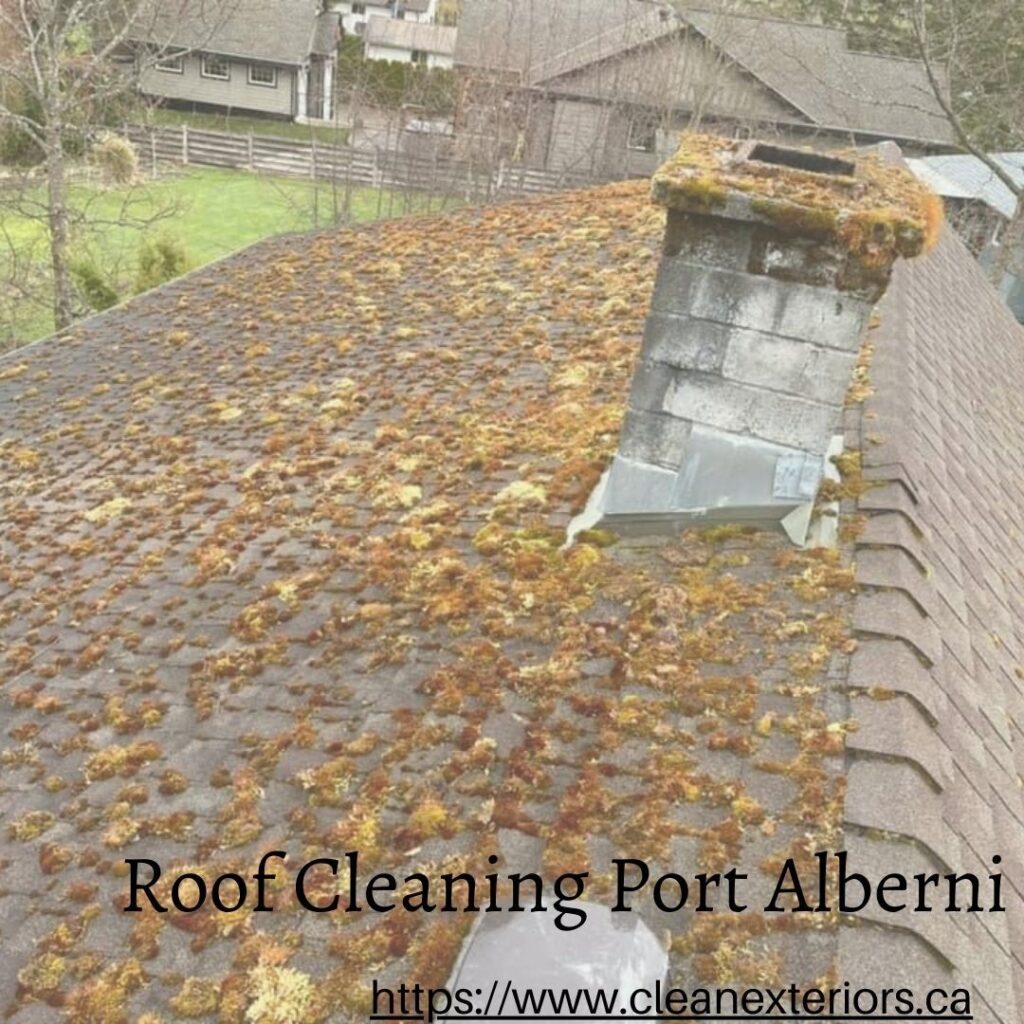Roof Cleaning Port Alberni