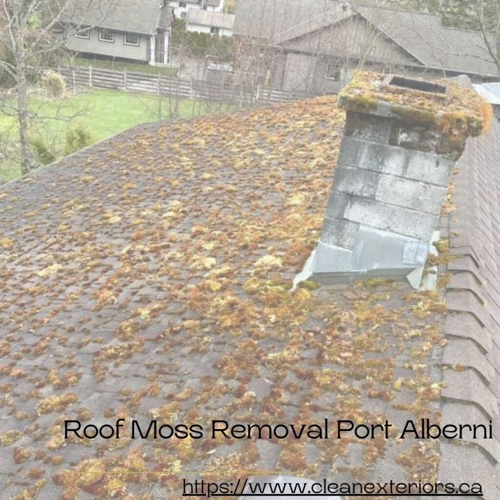 Roof Moss Removal Port Alberni