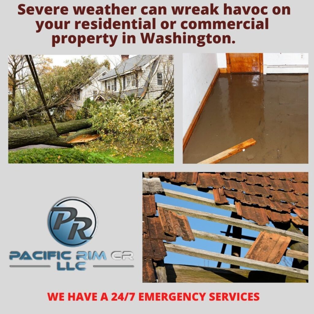 Seattle Water Damage Restoration Company: Residential, Commercial