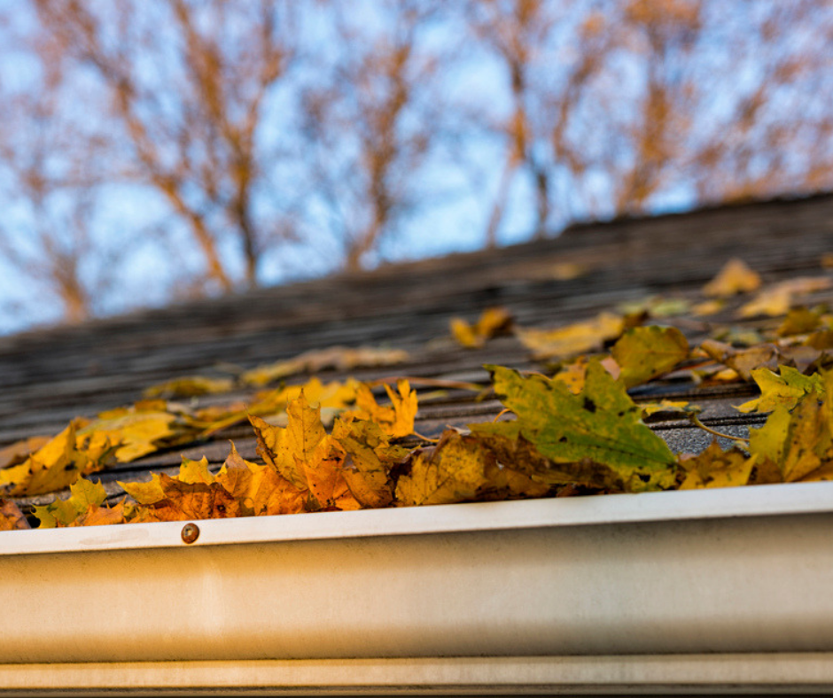 Tips To Find a Competent Gutter Cleaning Company