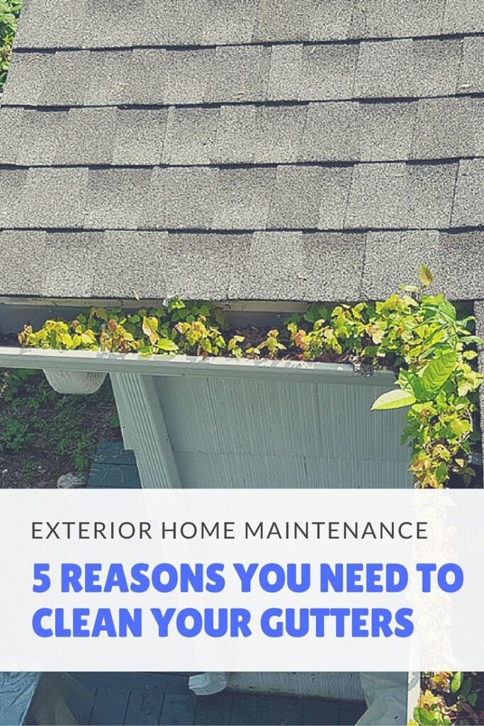 Why You Should Clean Your Gutters | Best Pick Reports