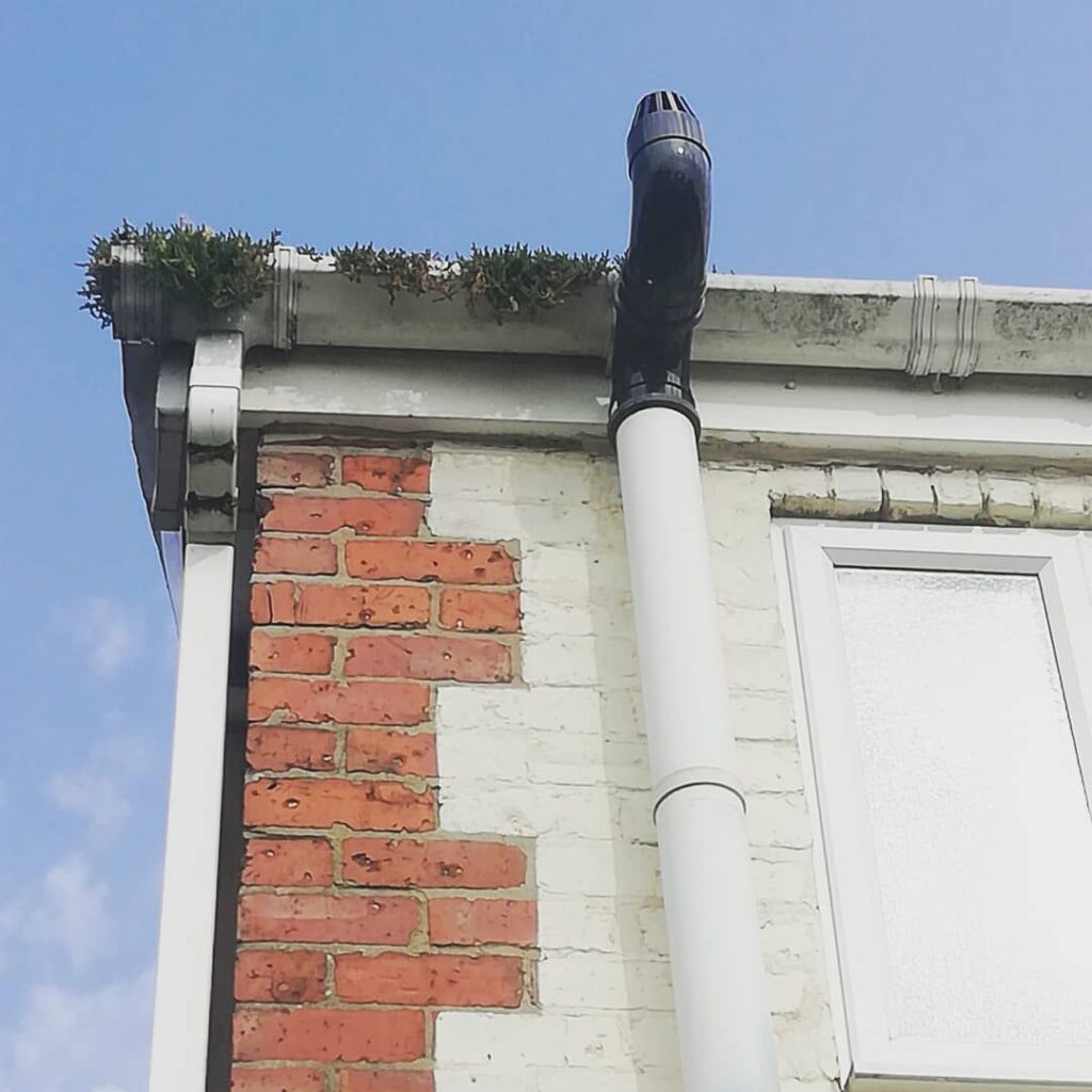 SGM PLASTERING & PRESERVATION on Instagram: “🏚️Damp survey 🏚️ This was one of tonight's surveys, can you spot why I found damp inside this property all the way down the back wall? - If…”